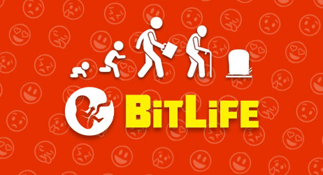 Source of BitLife Life Simulator Game Image