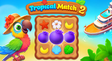 Source of Tropical Match 2 Game Image
