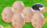 Dinosaur Eggs