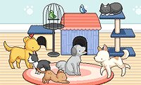 Укрась салон для животных