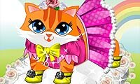 Habillage du mignon petit chaton