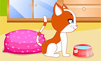 Penitipan Anak Kucing Imut