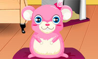 Hari Perawatan Hamster Imut