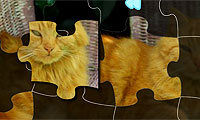 Dunia Jigsaw: Kucing