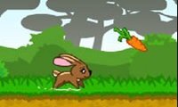 Course du lapinou