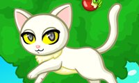 Purrfect Kitten