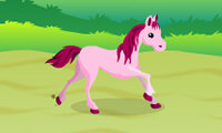 Pony Jockey