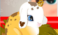 Bunny Buddy