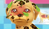 Puppy Games - Free online Games for Girls - GGG.com