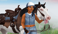 Source of Star Stable Game Image