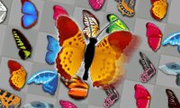 Баттерфляй делюкс игра. Butterfly Kyodai Deluxe. Баттерфляй Киодай Делюкс. Фотообои Butterfly Kyodai Deluxe.