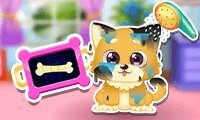 Pet Games - Free online Pet Games for Girls - GGG.com