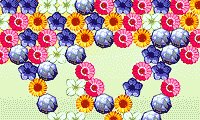 Flower Power 2
