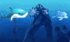 Dolphin Games